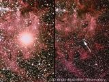 Фотографија на суперновата SN 1987A направена од англо-австралиската опсерваторија