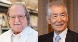 Лауреатите на Нобеловата награда за медицина и физиологија за 2018 година