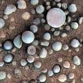 Малите синкасти камчиња коишто ги откри Опортјунити веројатно се формирале во присуство на вода