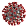 Изглед на вирусoт SARS-Cov2