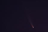 Кометата C/2020F3 (NEOWISE) фотографирана од Радан Митровиќ, Скопско астрономско друштво