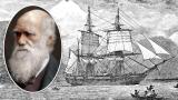 Чарлс Дарвин и графика на бродот Бигл