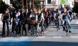 Велосипедисти на улиците на Копенхаген, Данска