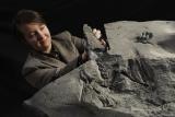 Наталија Јагиелска позира за фотографија со најголемиот јура птеросаурус во светот откопан на островот Скај