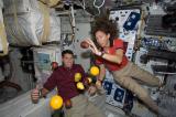 Астронаутите Шејн Кимброу и Сандра Магнус и пратката со свежо овошје лебдат во внатрешноста на спејс-шатлот Ендевор