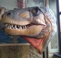 Реконструкција на глава на T. Rex во Природонаучниот музеј во Базел, Швајцарија