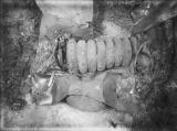Нараквици во погребната комора на гробот G 7000X, откриени од Џорџ Рајснер во 1925 година