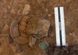Монетите на местото на ископувањето во близина на ридот Кастели на островот Крит