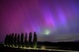 На оваа фотографија направена во раните утрински часови денес, сабота 11 мај, со долга експозиција, автомобил поминува покрај тополите и ги осветлува додека поларна светлина свети над селото Дајленс, Швајцарија