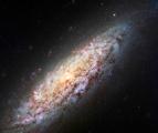 Една од сликите фотографирани на роденденот на ЕМИТЕР – Спиралната галаксија NGC 6503 Една од сликите фотографирани на роденденот на ЕМИТЕР – Спиралната галаксија NGC 6503